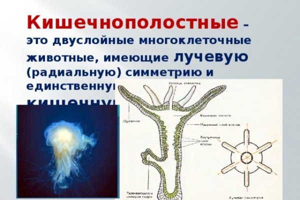 Как зайти на кракен