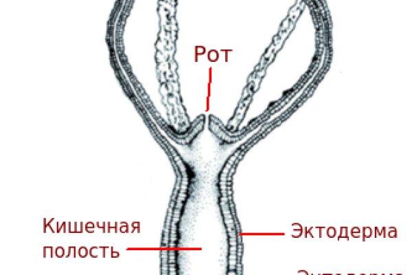 Кракен даркнет kraken link24 info