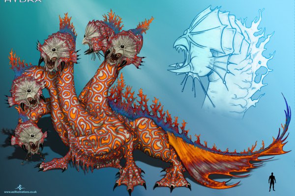 Kraken link
